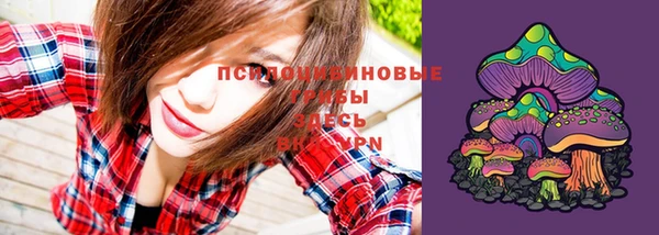 MESCALINE Заволжье