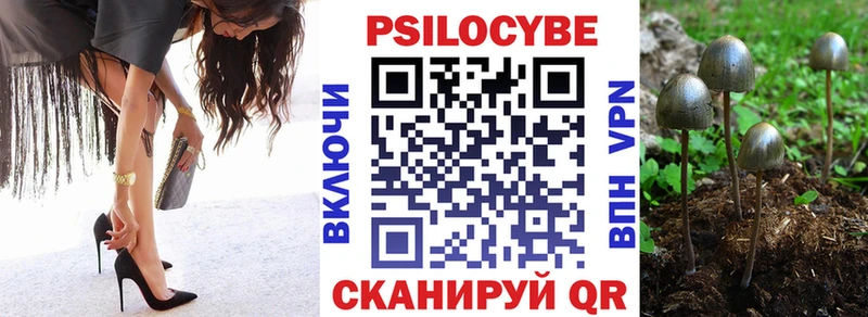 Галлюциногенные грибы Psilocybe магазин продажи наркотиков Знаменск